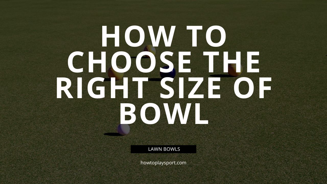 How To Choose The Right Size Of Bowl